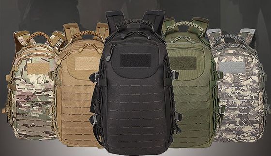 Outdoor Training Waterproof Backpack with Molle System and Physiological Curve Back